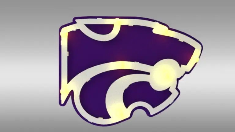 Kansas state small 3d lit sign