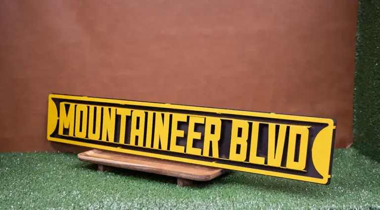 Appalachian state university 3d street sign