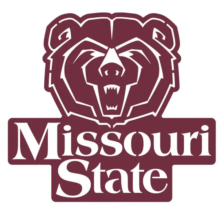 Missouri state 1 color wall art