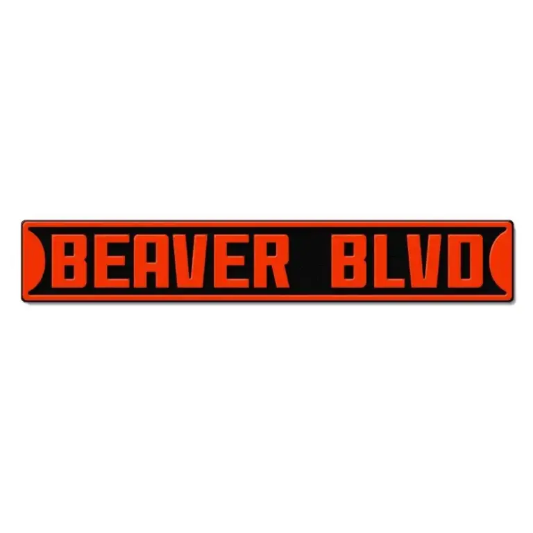 Beaver blvd 3d street sign